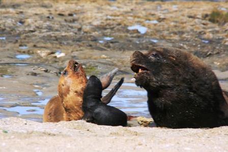 ...in Ruhe trinken...